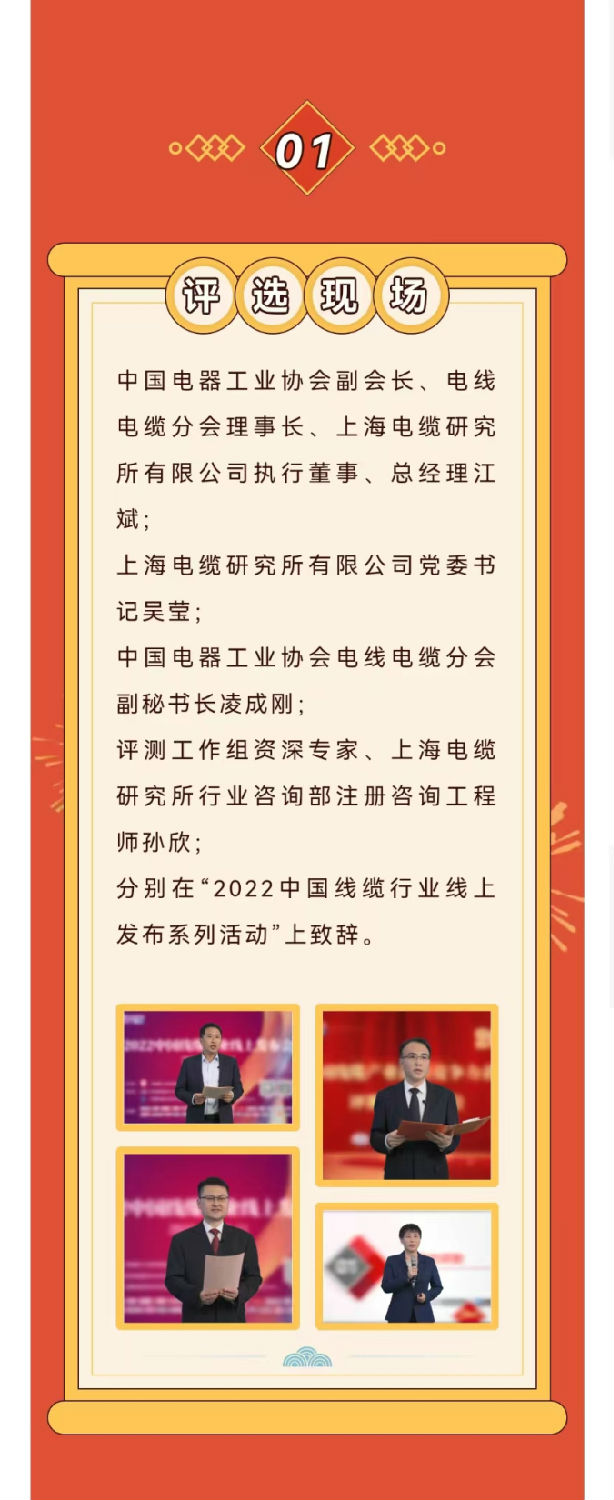 2022年度中國(guó)線纜產(chǎn)業(yè)最具競(jìng)爭(zhēng)力企業(yè)10強(qiáng)